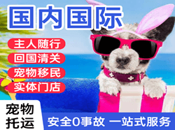 塔城千泉空运公司国际宠物托运 【国